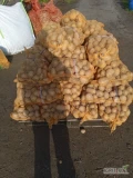 Sprzedam 200 worków 15 kg ziemniaków corinna kaliber 50+. Więcej informacji na telefon. 16 zł worek 