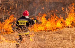 W ciągu 6 lat ukarano 137 rolników za wypalanie traw