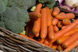 COBORU: nowe odmiany warzyw i owoców w krajowym rejestrze