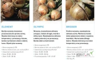 GEPWEG oferuje nasiona cebuli ozimej. Szukasz swojej odmiany,Napisz lub zadzwoń.Dostawa gratis.Płatność przy odbiorze.