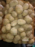 Sprzedam ziemniaki jadalne żółte odmiany "soraya" 150 worków.