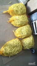 Sprzedam młodą fasolę żółtą szparagową, najlepiej odbiór osobisty lub dowóz na terenie Rybitw i okolic.