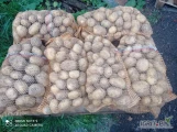 Sprzedam ziemniaki młode odmianą riwierą 