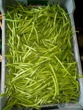 Fasolka szparagowa zielona Paulista sprzedam 7zl kg 