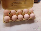 Witam. Mam na sprzedaż swojskie jajka.  Cena 1,20 gdyż są różnej wielkości, od M do L.