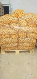 sprzedam ziemniaka kaliber 35-50 rok  odmiana melody   towar pakowany worek 20kg  tel 506349482