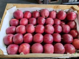 Sprzedam jabłko Gala Schnico Red od 7 w platonie 15kg lub za kilo w skrzyni 