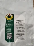 Sprzedam nasiona cebuli Magnate, 125 tys. sztuk nasion.