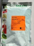 AZUMA F1(j.50 000n, kal. 3.2- 3.6) nasiona buraka czerwonego firmy SAKATA oferuje GEPWEG dystrybutor nasion. Dostawa gratis. Płatność...