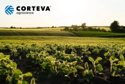 Zwiększenie europejskiej produkcji roślin białkowych wymaga konkretnych rozwiązań - Corteva Agriscience