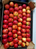 Sprzedam idareda 6.5-7 jabłko czyste I wybarwione. Sprzedam za wagę lub naszykuje w dowolne opakowanie. 56skrzyn