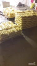 Ziemniaki obrane galla pakowany 5 lub 10 kg 