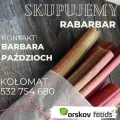 Firma Orskov Foods Czaplinek kupi rabarbar obustronnie cięty.
