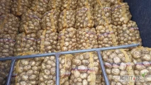 Ukopie pod zamówienie ziemniaki jadalne 35mm+. 300-500 worków na dzisiaj wieczorem lub jutro.