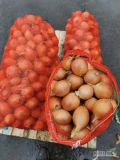 Sprzedam cebulę z Kazachstanu, suchą, czystą, kaliber 3+8, 20 tonn. 502902815