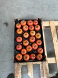 Sprzedam pomidora malinowego 6 kg- układany. 