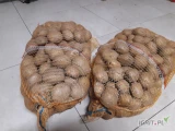 Sprzedam ziemniaki jadalne w woreczkach 15kg. Odmiana Colomb w ilości 600 woreczków. 