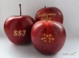 Grawerowane jabłka z dowolnym napisem lub logo. Pakowane w wytłoczkę, woreczki z ładną kokardką 