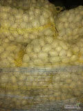 Sprzedam ziemniaki soraya oraz bellaroza kal 3-5 wysadzane z kwalifikatu 511 381 069 