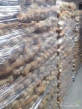 Ziemniaki Gala z chlodni, szczotkowane w worku szytym 2,5kg 5,10,15kg mozliwosc nadruku na szarfie. 