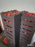 Sprzedam pomidory malinowe w typie sakiewka. Pakowane po 5 kg w czarnym kartonie. Ilości paletowe. Transport we własnym zakresie,...