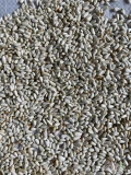 Krokosz / safflower seeds
