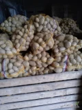 Sprzedam ziemniaki jadalne 800 worków 15 kg kaliber 4.5 jasne 