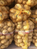 Sprzedam ziemniaki jadalne młode riviera/colombo na zamówienie, ilości calosamochodowe, busowe, detaliczne
