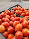Sprzedam pomidora odmiany pietrrarosa rwany na zamówienie w skrzynkę 