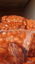 Sprzedam cebulę ładna gruba 6-9. Towar marketowy, czysta ładna sucha łuska. Świeża dzisiejsza dostawa, dostępne 21 ton. Worki 30 kg...