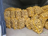 Witam sprzedam ziemniaki jadalne 500/1000 w Riwiery zainteresowanych zapraszam .