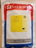 SONIC F1 , GALATEA F1 (j.250 000n) nasiona cebuli ozimej firmy TAKII / Enza Zaden oferuje GEPWEG dystrybutor nasion.Dostawa gratis....