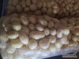 Sprzedam młode ziemniaki myte lub brudne worek szyty 15,10,5kg nadruk lub big bag luz duże ilości 