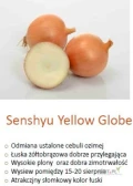 Nasiona cebuli ozimej SENSHYU YELLOW (j.250 000n).  Dostawa gratis. Płatność przy odbiorze.