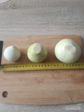 Sprzedam cebulę obierana ręcznie na biało około tony dziennie. Możliwy transport do klienta 
