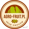 Kupię gruszkę przemysłową - suchy przemysł. Gotówka lub przelew. Zapraszamy. www.Agro-Fruit.pl 