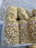 Sprzedam ziemniaki jadalne - gruba lulka, towar z jasnej ziemi. Więcej informacji pod nr tel 697631392 