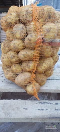 Sprzedam ziemniaki koląbe bardzo ładny towar gruby 22 zł za worek 
