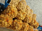 Ukopie na zamówienie ziemniaki jadalne Corina i Colombo, towar z jasnej ziemi . Więcej informacji pod nr tel 697631392