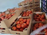 Sprzedam pomidora zwykłego pakowany po 6 kg.