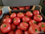 Sprzedam pomidora malinowego pakowany po 6 kg.