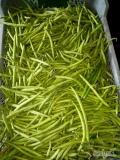 Sprzedam fasolke szparagowa zielona 8zl kg bardzo ładna na świeży rynek 
