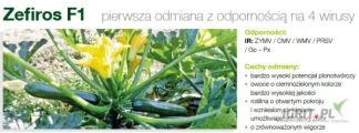GEPWEG oferuje nasiona cukini ZEFIROS F1(j.1000n) firmy SYNGENTA.Odporność na 4 wirusy.Dostawa gratis.Płatność przy odbiorze.