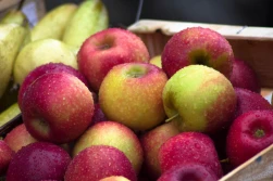 Credit Agricole: Zapowiadają się słabe krajowe zbiory owoców i warzyw. Co z cenami?