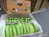 Na sprzedaż  banany klasa premium na zielono Ekwador