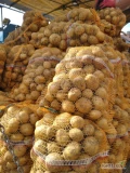 Sprzedaż ziemniaków worki luz wszystko ilości hurtowe i detaliczne nakopie ile potrzeba kontakt tel 