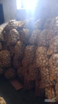 Sprzedam ziemniaki we workach 15 kg , mam naszykowane około 300 woreczków okolice Błaszek- Wrząca