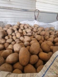 Sprzedam żółte ziemniaki Belmonda w worku szytym 15kg lub w bb.Kaliber 45+