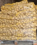 Kupię ziemniaki jadalne młode  z okolic  Sieradza . Odbiór osobisty bezpośrednio z  pola. Worek 15 kg.  Płatność gotówką przy...