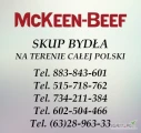 Firma MC KEEN BEEF zajmuje się zakupem bydła rzeźnego (byk, krowa, jałówka)

